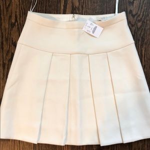 J. Crew skirt